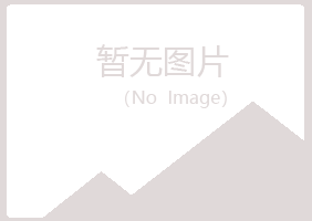 玉树夏日化学有限公司